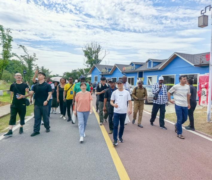 27名国际学员打卡江夏灵山：这里的改变超乎想象！